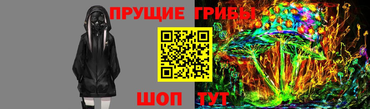 Псилоцибиновые грибы Psilocybine cubensis  Галлюциногенные грибы мицелий  Вход с VPN  Губкинский 