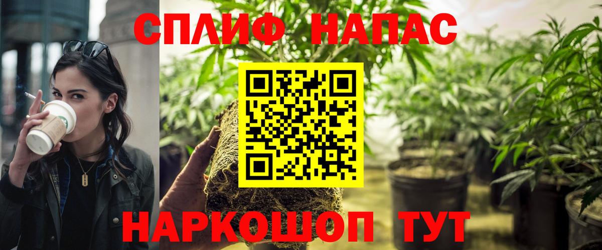 Каннабис SATIVA & INDICA  Вход с VPN  МАРИХУАНА MAZAR  Губкинский  Бошки Шишки гибрид 